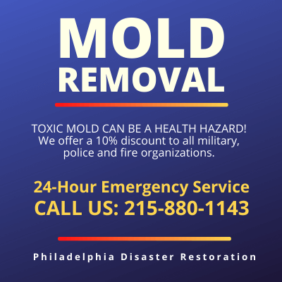 Philadelphia PA | Mold Removal | Mold Remediation | Mold Abatement | Black Toxic Mold | Mold Inspection