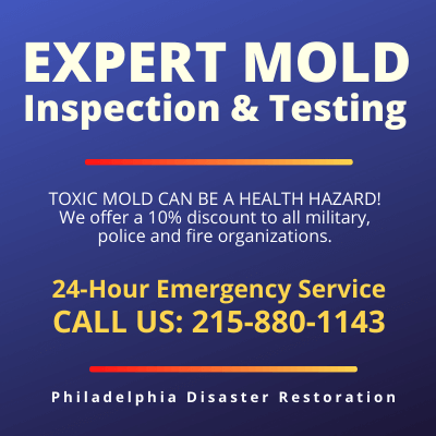 Southampton PA | Mold Testing | Mold Inspection | Mold Evaluation | Mold Assessment 